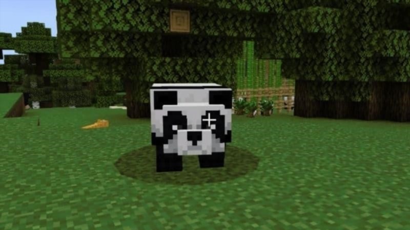 can you tame a panda in minecraft 063941