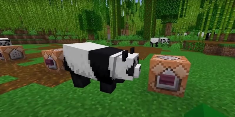 can you tame pandas in minecraft possible alternatives 471150
