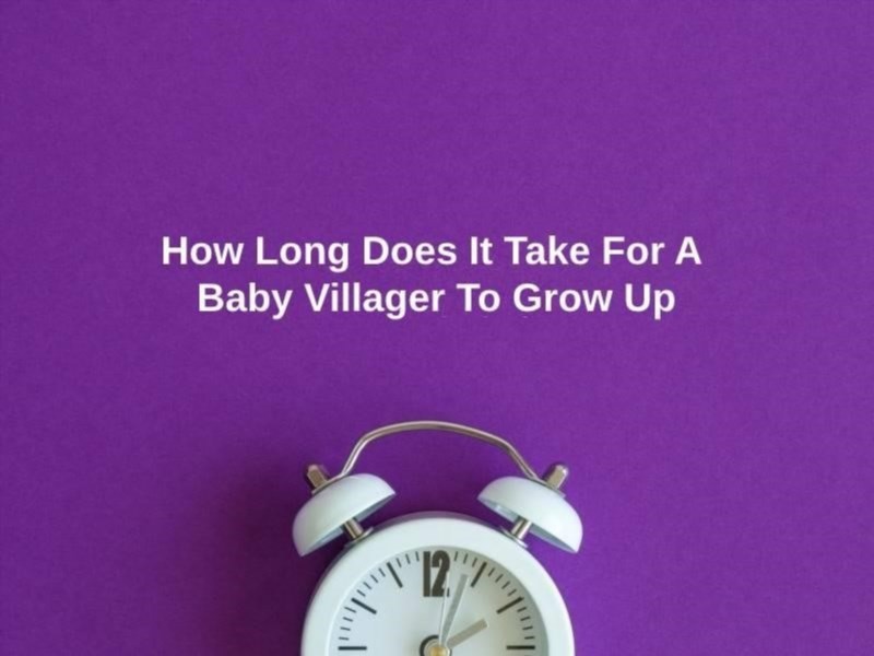 how long does it take for a baby villager to grow up and why 352390