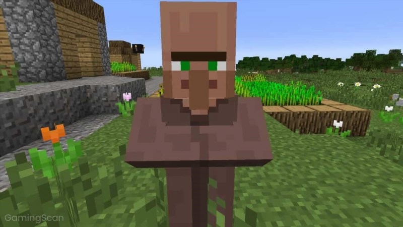 how to get a villager to follow you in minecraft 042639