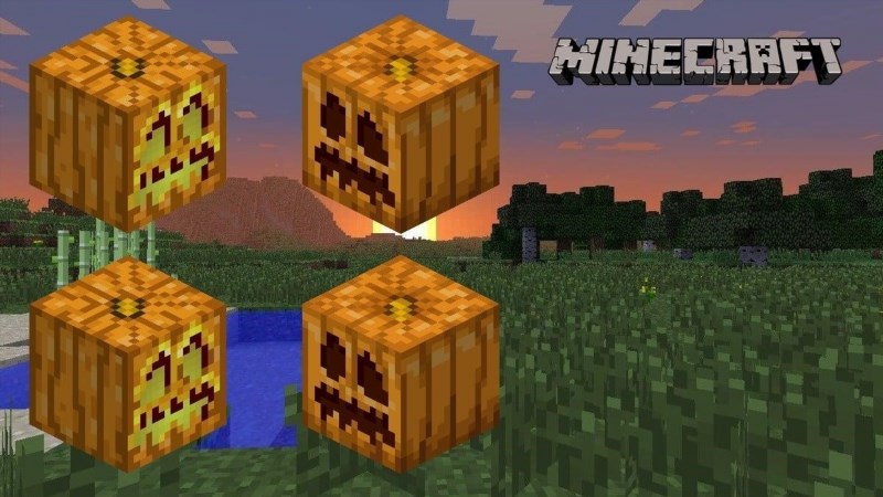 how to grow pumpkins in minecraft 658811