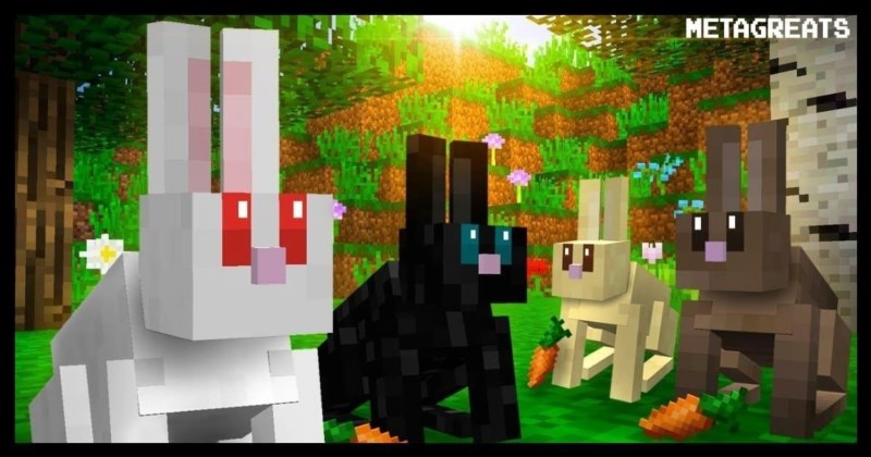 how to tame a rabbit in minecraft 439716