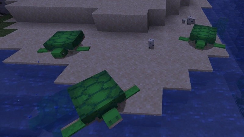 minecraft how to get turtle shells 703563