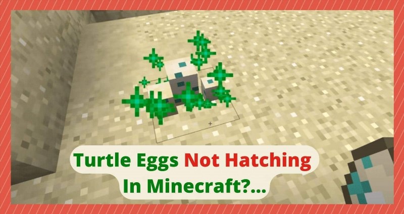 3 things to do if turtle eggs not hatching in minecraft 754411