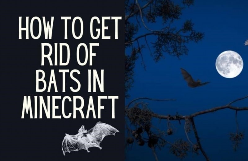 how to get rid of bats in minecraft 6 easy ways 716753