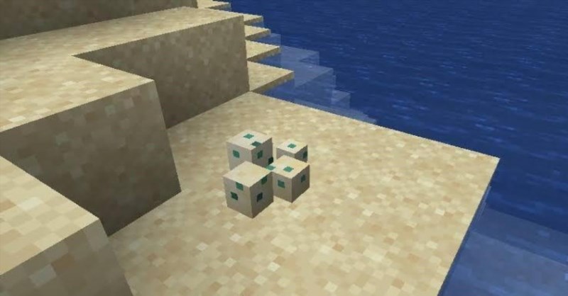 how to hatch turtle eggs in minecraft 414808