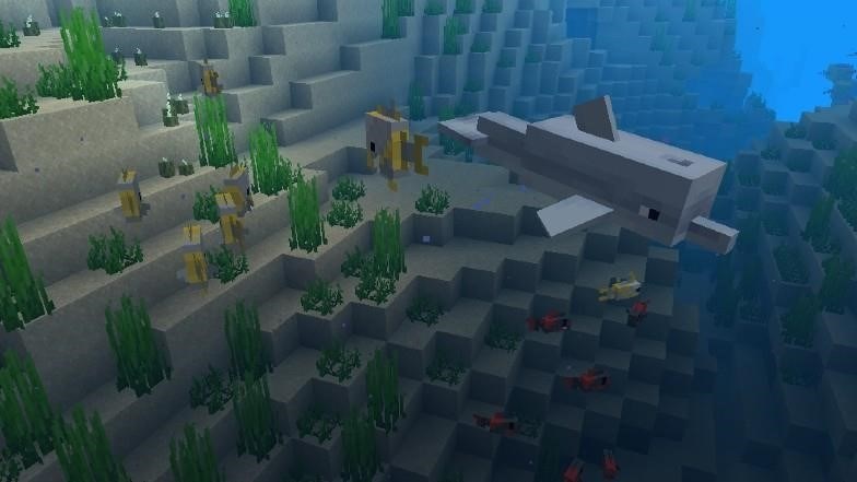 how to ride dolphins in minecraft 172431