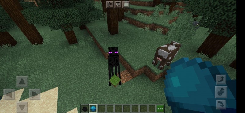 how to tame an enderman in minecraft 334101