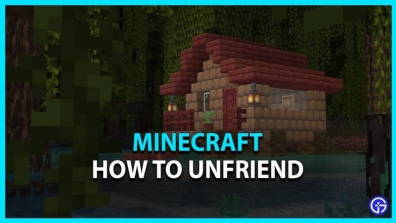 minecraft how to unfriend other players 243631