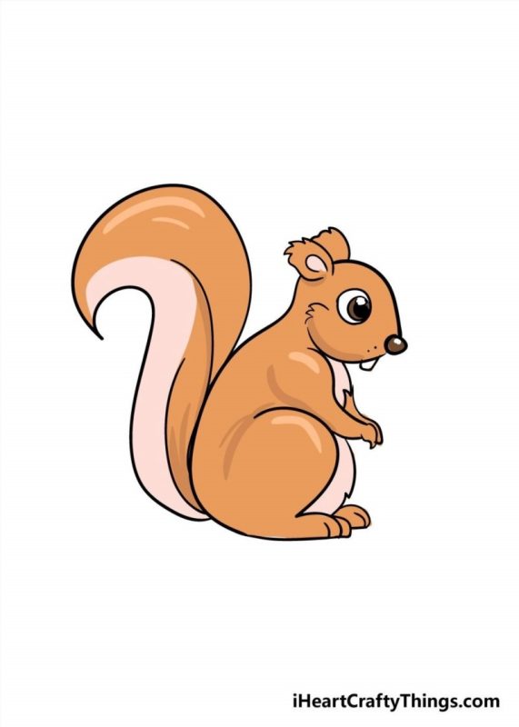 squirrel drawing how to draw a squirrel step by step 094160